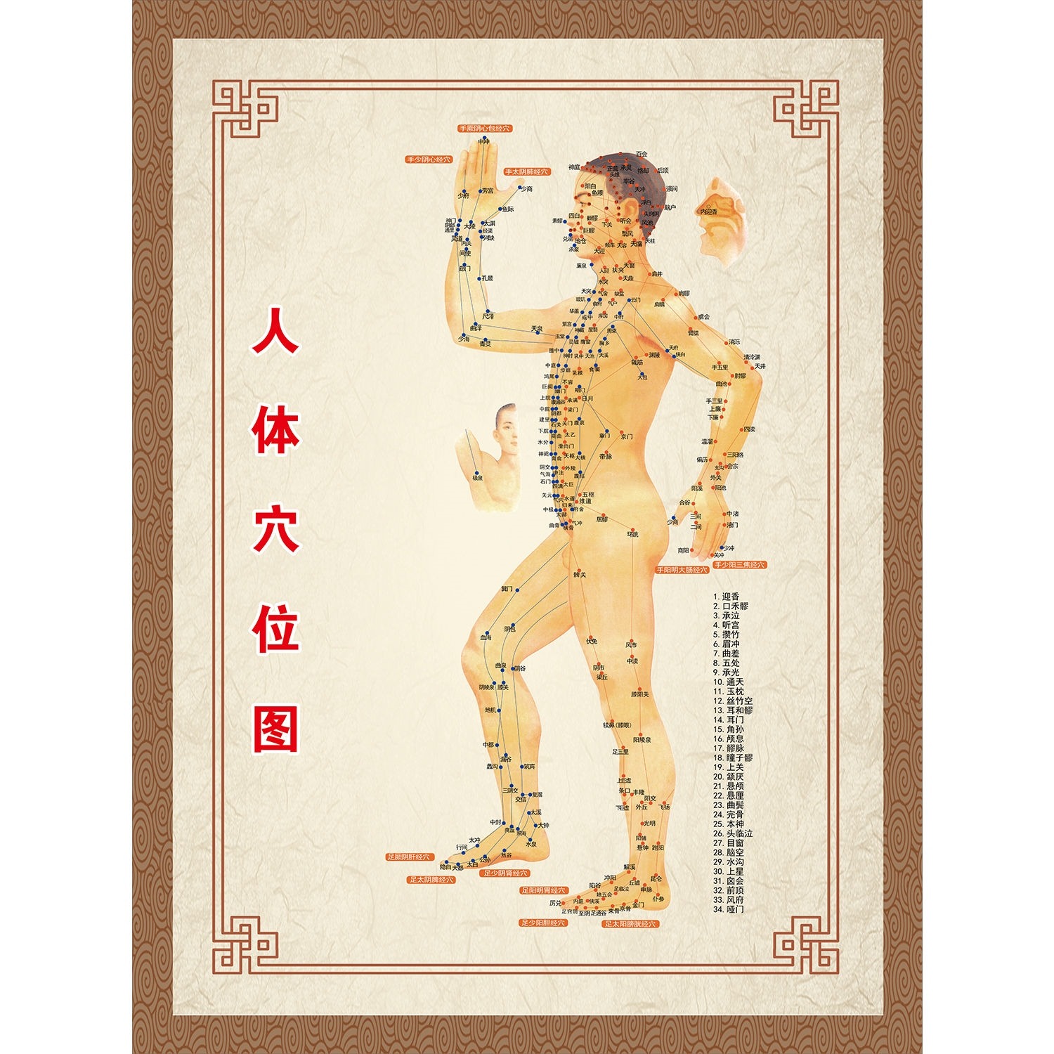 一级中医基础：经络与穴位 &mdash;&mdash; 人体 &ldquo;气血通道&rdquo; 与健康开关